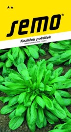 Kozlíček polníček